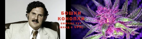 сатива Покровск