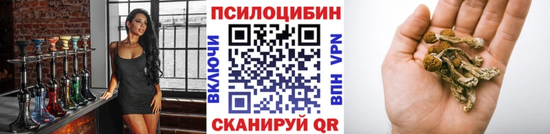 Псилоцибиновые грибы Magic Shrooms  где можно купить   Серов 