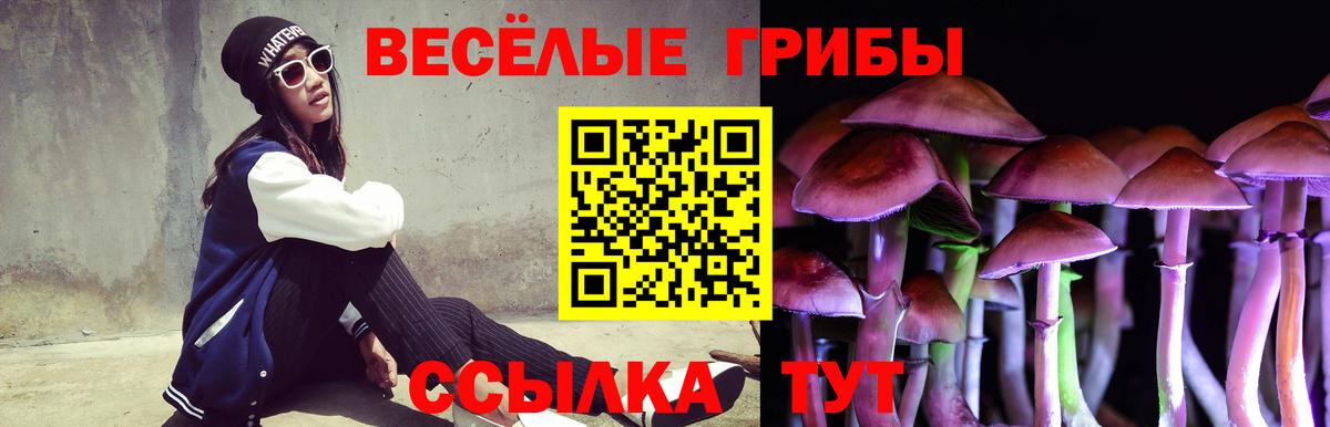 Псилоцибиновые грибы прущие грибы  Вход с VPN  Серов 