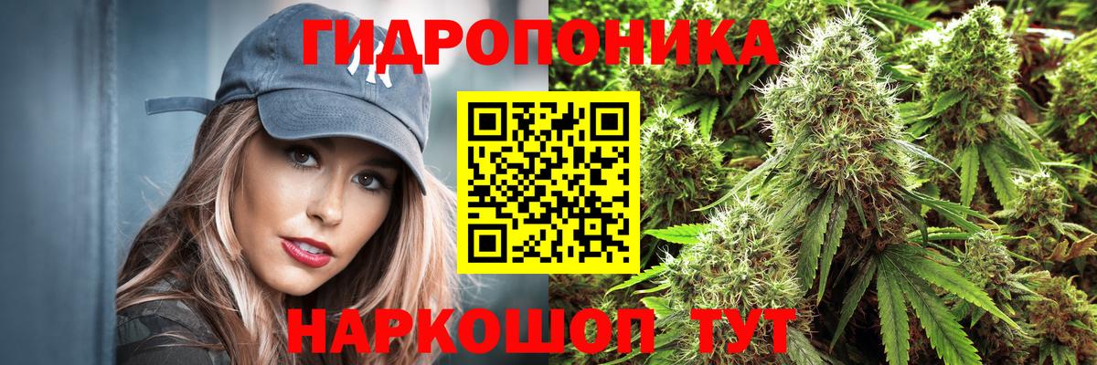 Бошки марихуана SATIVA & INDICA Серов